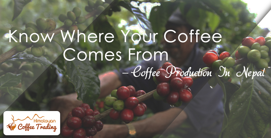 Where Does Your Coffee Come From – Coffee Production In Nepal
