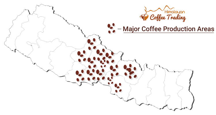Coffee Production In Nepal
