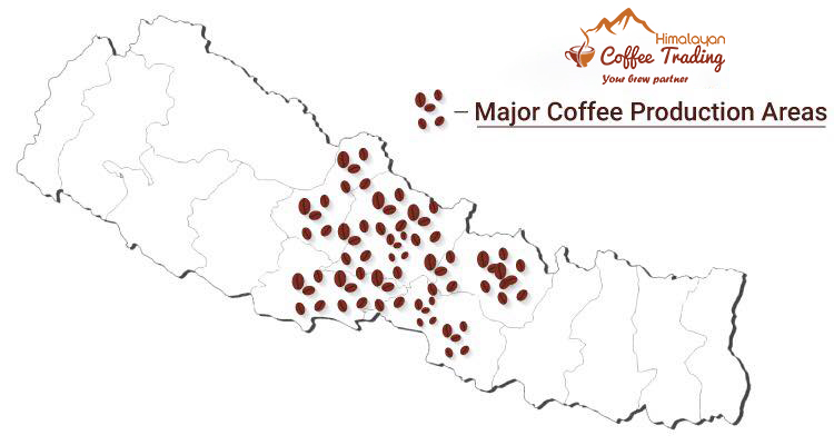 Major Coffee Productions In Nepal